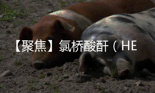 【聚焦】氯桥酸酐(HET酸酐)属于反应型阻燃剂 我国是全球主要生产和消费国